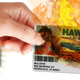 Illustration for article titled 50 Ways To Lose Your License